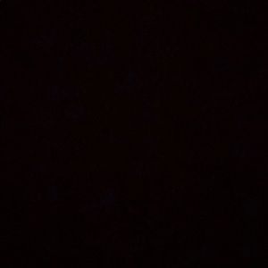 Meet your Posher, Brittney